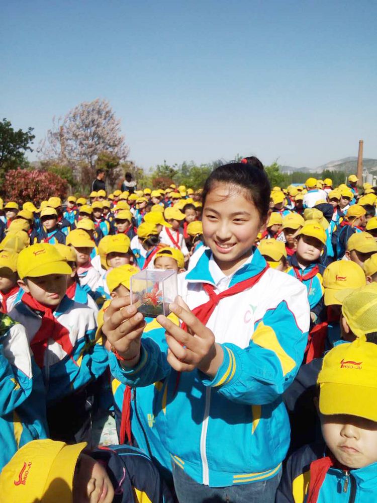 j9九游会集团有限公司内容图片展示