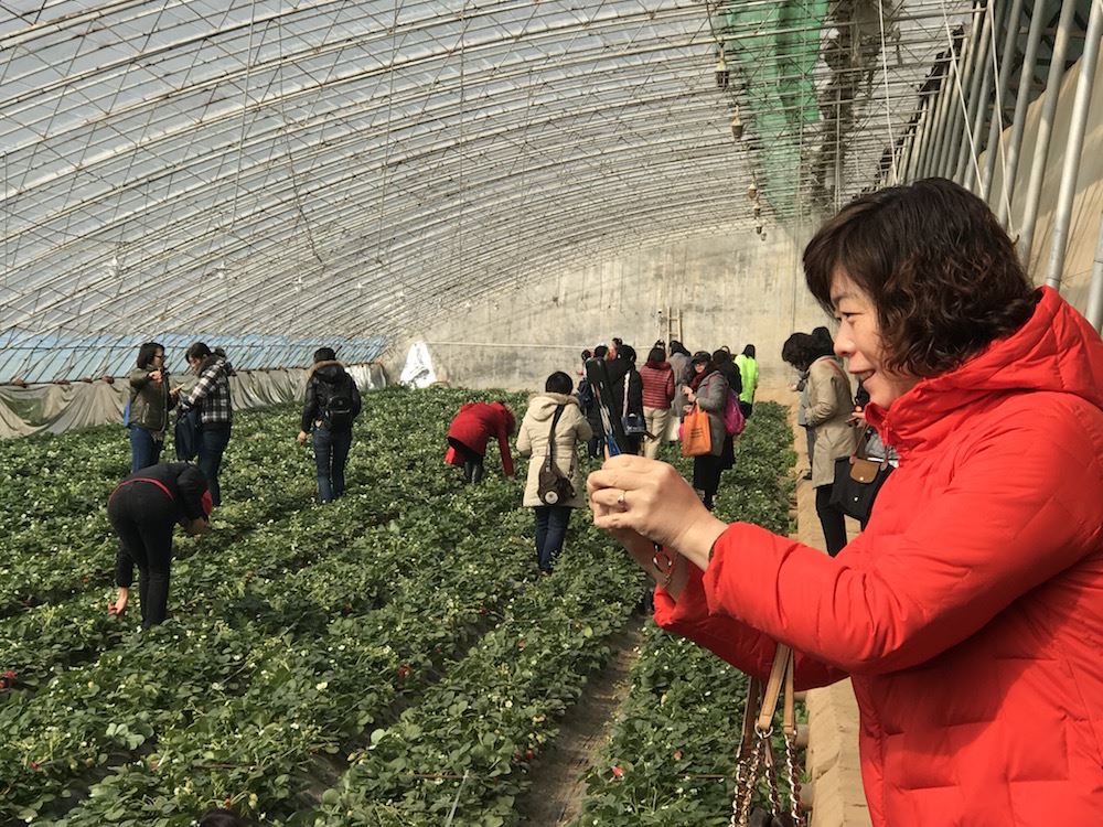 j9九游会集团有限公司内容图片展示