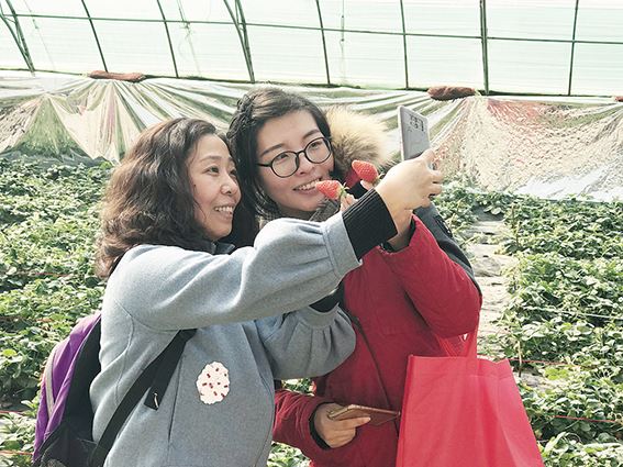 j9九游会集团有限公司内容图片展示